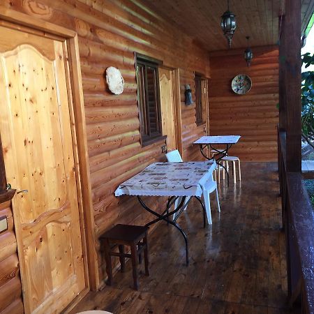 Guest House Nana Gagra Extérieur photo