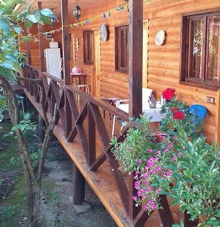 Guest House Nana Gagra Extérieur photo