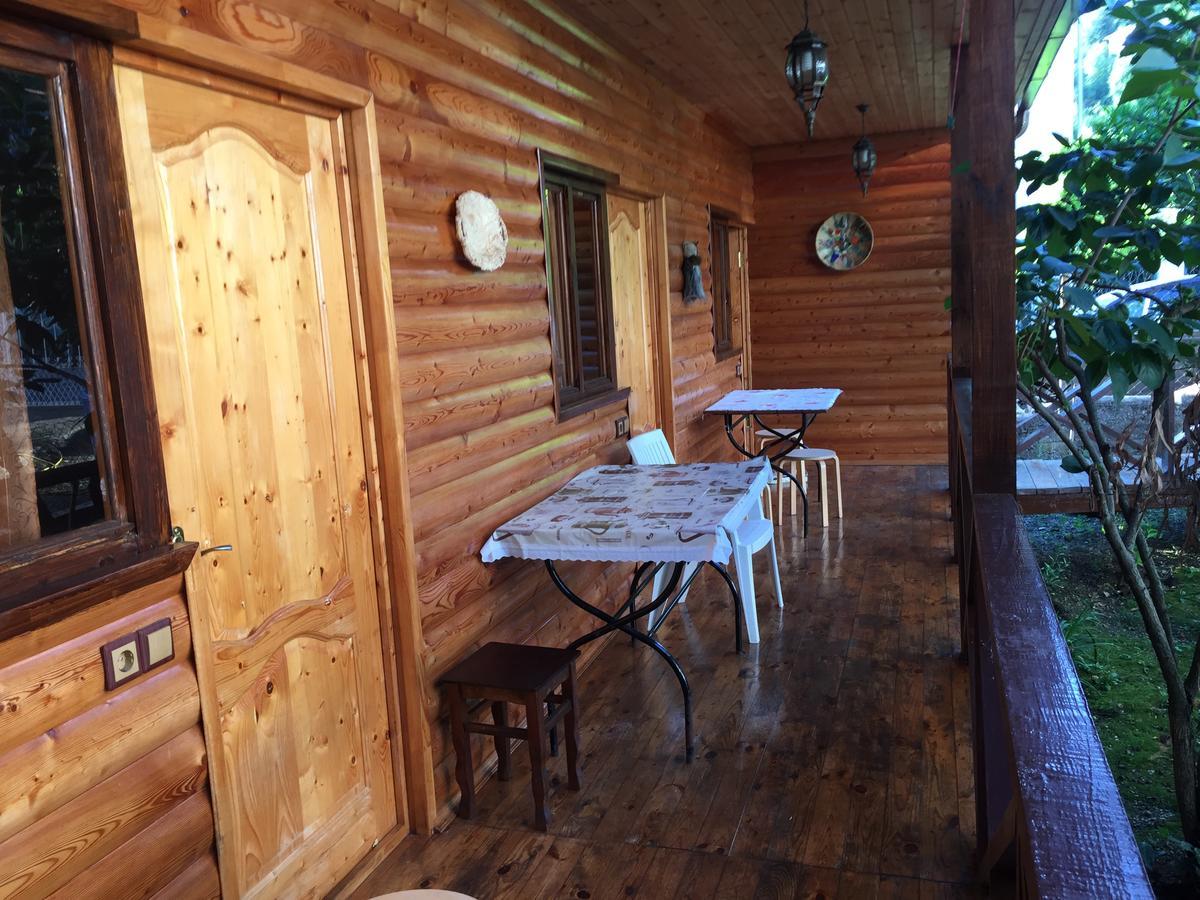 Guest House Nana Gagra Extérieur photo