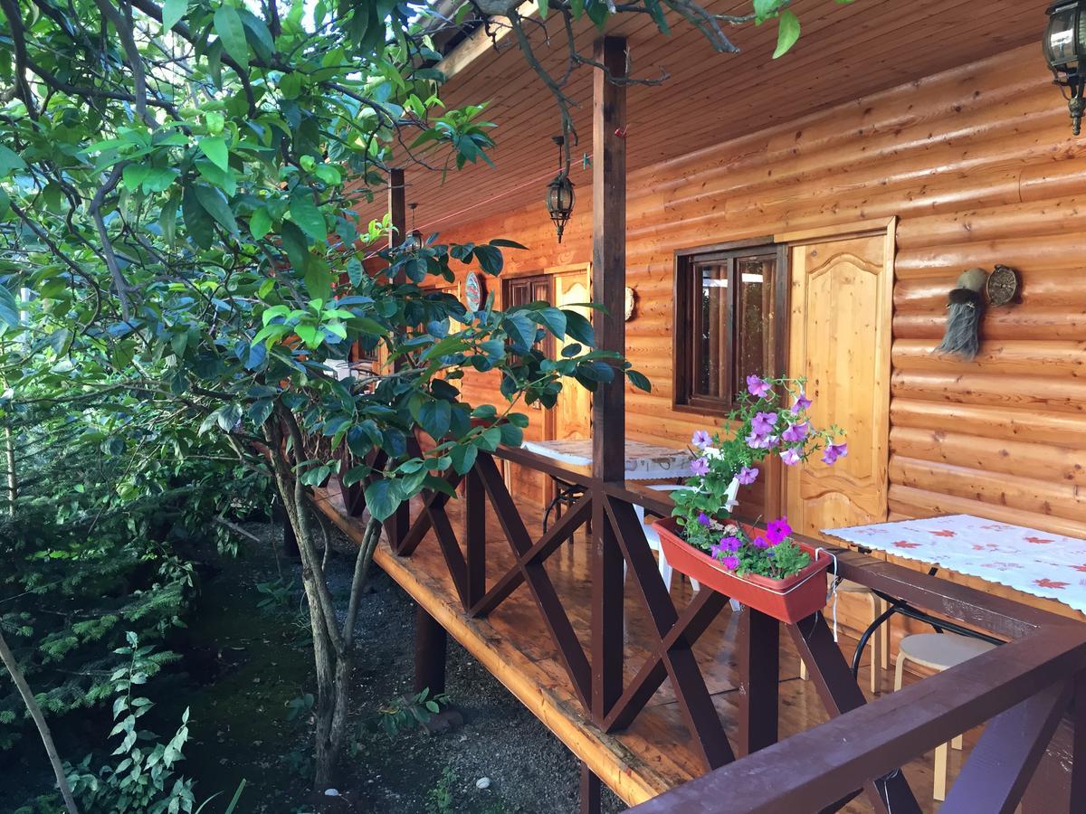 Guest House Nana Gagra Extérieur photo