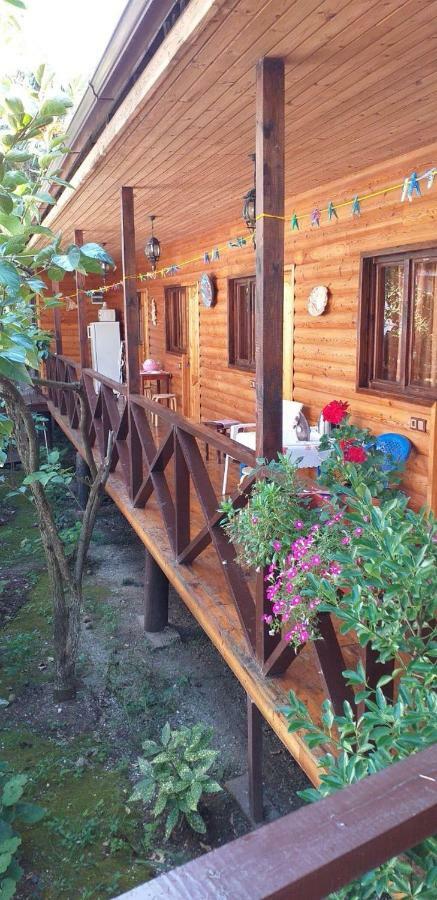Guest House Nana Gagra Extérieur photo